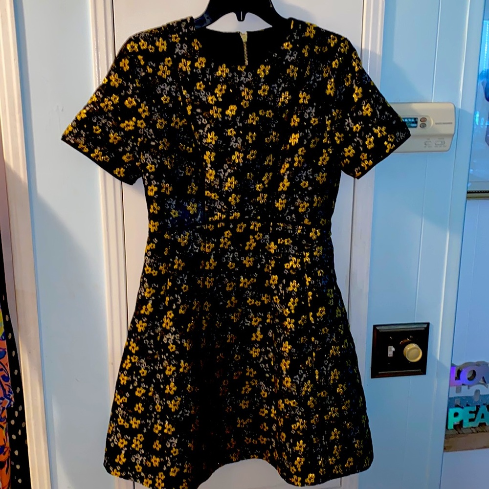 NWT Beautiful Ted Baker London eloquent dress